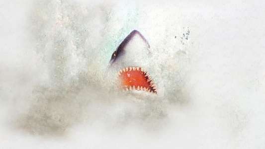 Shark Week - Backdrops