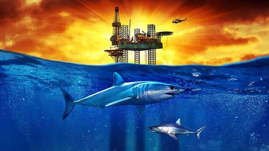 Shark Week - Backdrops