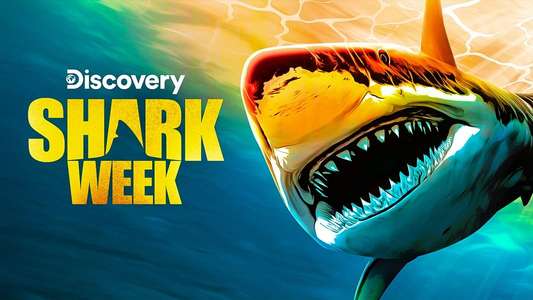 Shark Week - Backdrops