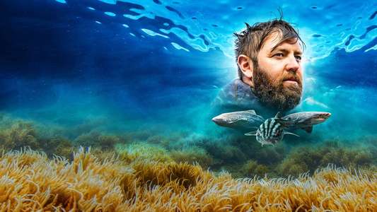 Shark Week - Backdrops
