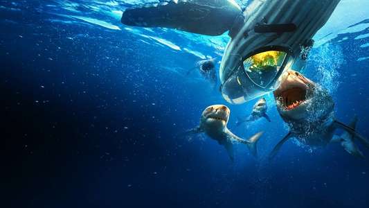 Shark Week - Backdrops