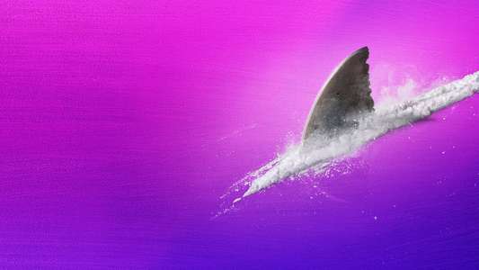 Shark Week - Backdrops