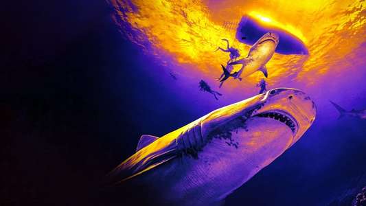 Shark Week - Backdrops