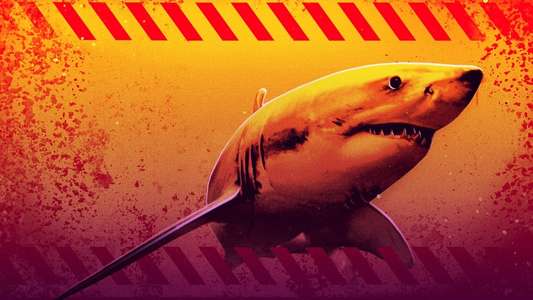 Shark Week - Backdrops