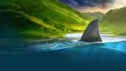 Shark Week - Backdrops