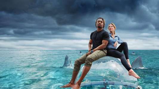Shark Week - Backdrops
