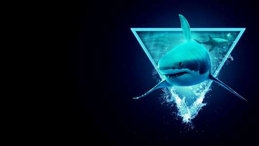 Shark Week - Backdrops