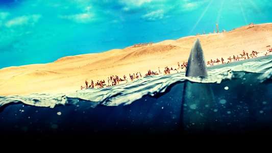 Shark Week - Backdrops