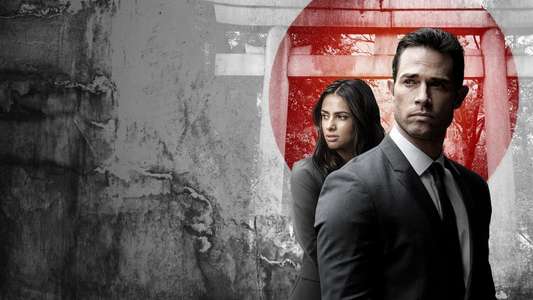 El Dragón: Return of a Warrior - Backdrops