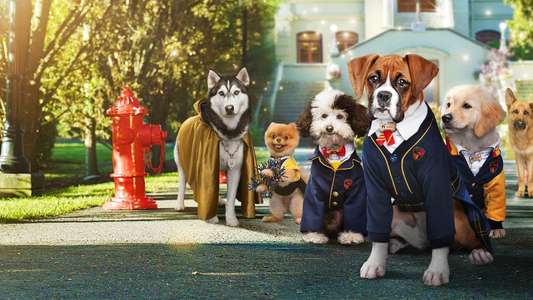 Pup Academy - Backdrops