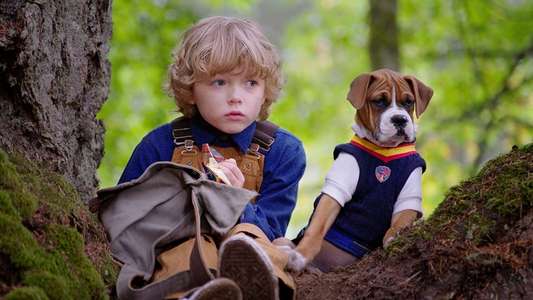 Pup Academy - Backdrops
