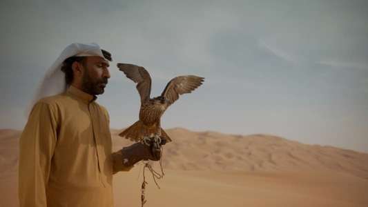 History of The Emirates: Ancient World and Beyond - Backdrops