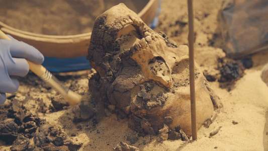 Lost Treasures of Egypt - Backdrops
