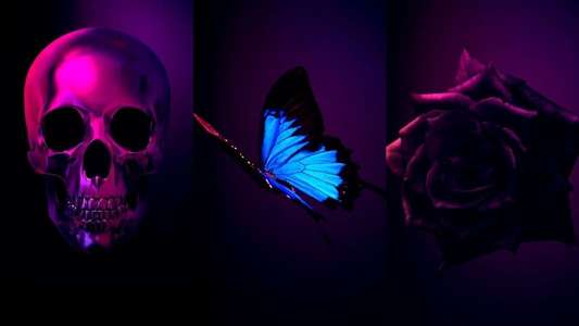 Too Old to Die Young - Backdrops