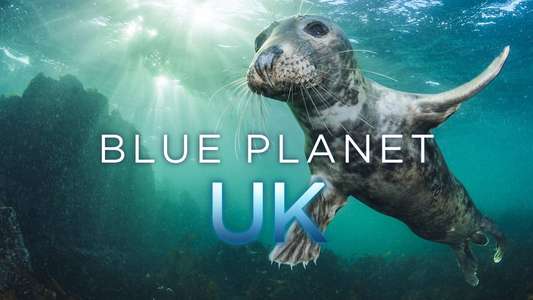 Blue Planet UK - Backdrop