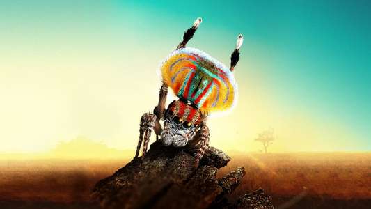Magical Land of Oz - Backdrop