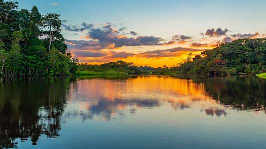 Earth's Great Rivers - Backdrops