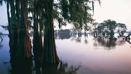 Earth's Great Rivers - Backdrops