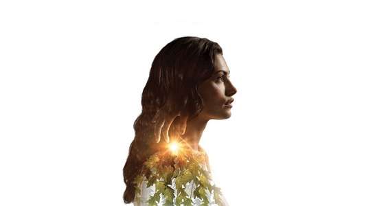 Bloom - Backdrops