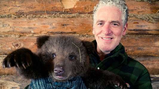Grizzly Bear Cubs and Me - Backdrops