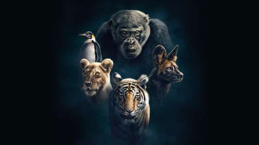 Dynasties - Backdrops
