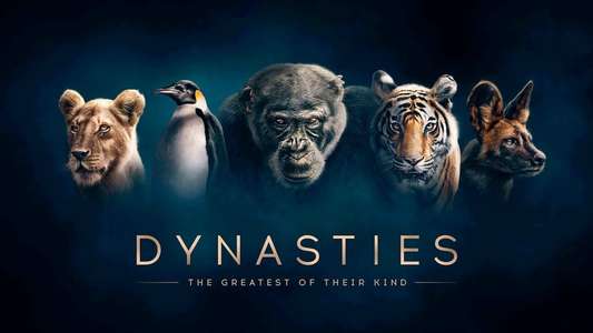 Dynasties - Backdrops