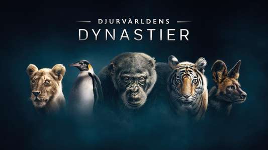 Dynasties - Backdrops