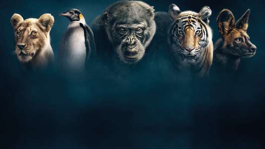 Dynasties - Backdrops