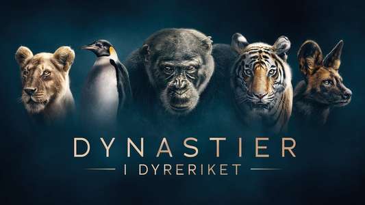 Dynasties - Backdrops
