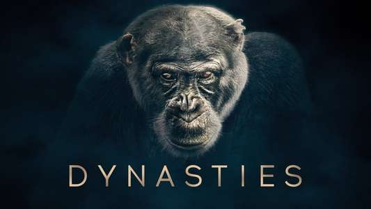 Dynasties - Backdrops