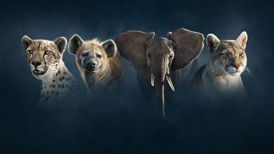 Dynasties - Backdrops