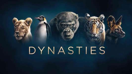 Dynasties - Backdrops