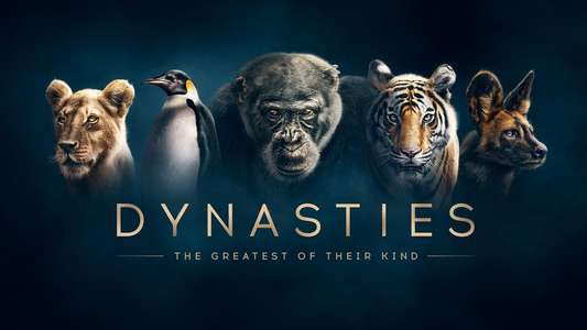 Dynasties - Backdrops