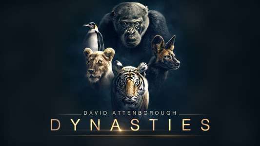 Dynasties - Backdrops