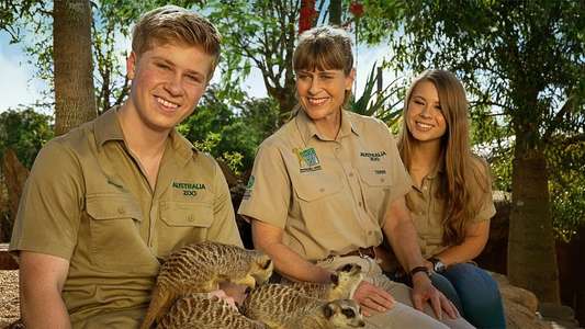 Crikey! It's the Irwins - Backdrops