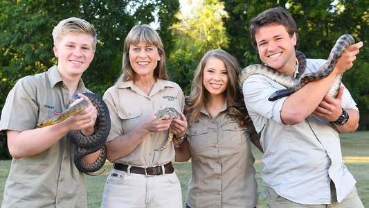 Crikey! It's the Irwins - Backdrops