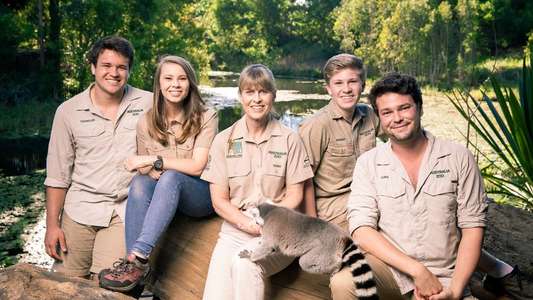 Crikey! It's the Irwins - Backdrops