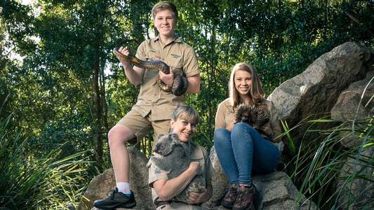 Crikey! It's the Irwins - Backdrops