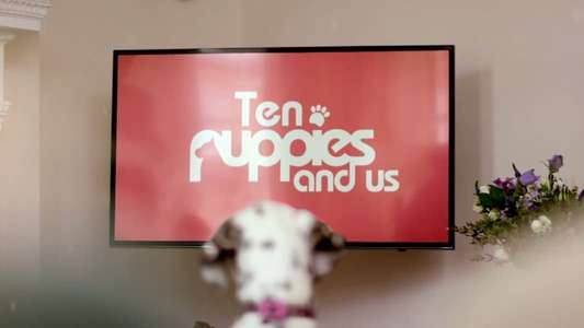 10 Puppies and Us - Backdrop