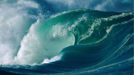 10 Things You Didn't Know About... - Backdrop