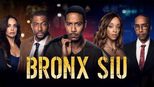 Bronx SIU - Backdrops