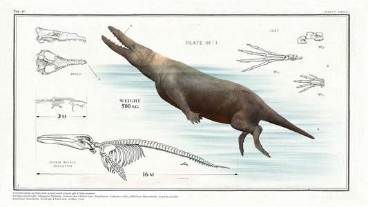 Big Beasts: Last of the Giants - Backdrop