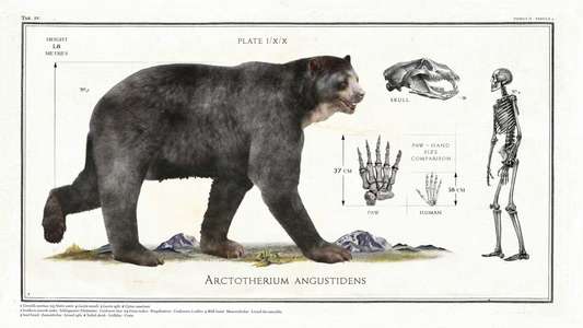 Big Beasts: Last of the Giants - Backdrop