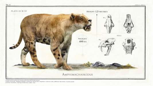 Big Beasts: Last of the Giants - Backdrop