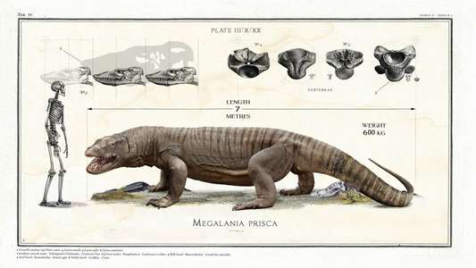Big Beasts: Last of the Giants - Backdrop