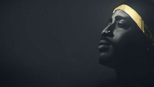 Unsolved: The Murders of Tupac and The Notorious B.I.G. - Backdrops