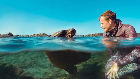 Animals Up Close with Bertie Gregory - Backdrops