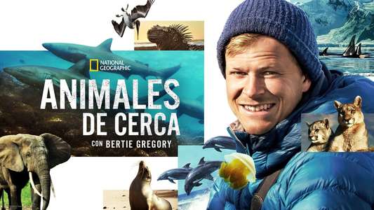 Animals Up Close with Bertie Gregory - Backdrops