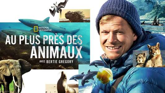 Animals Up Close with Bertie Gregory - Backdrops