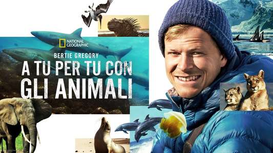 Animals Up Close with Bertie Gregory - Backdrops